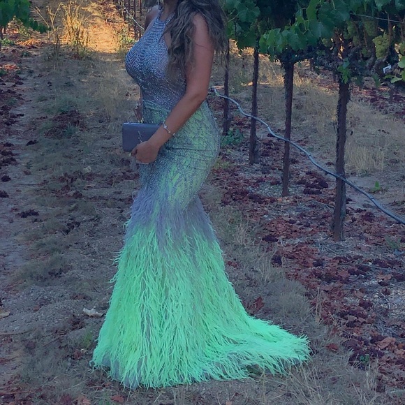 Teani couture gown size 8 - Picture 3 of 3